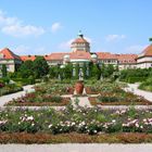 Botanischer Garten - Muenchen 04