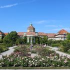 Botanischer Garten München 08.2015-1