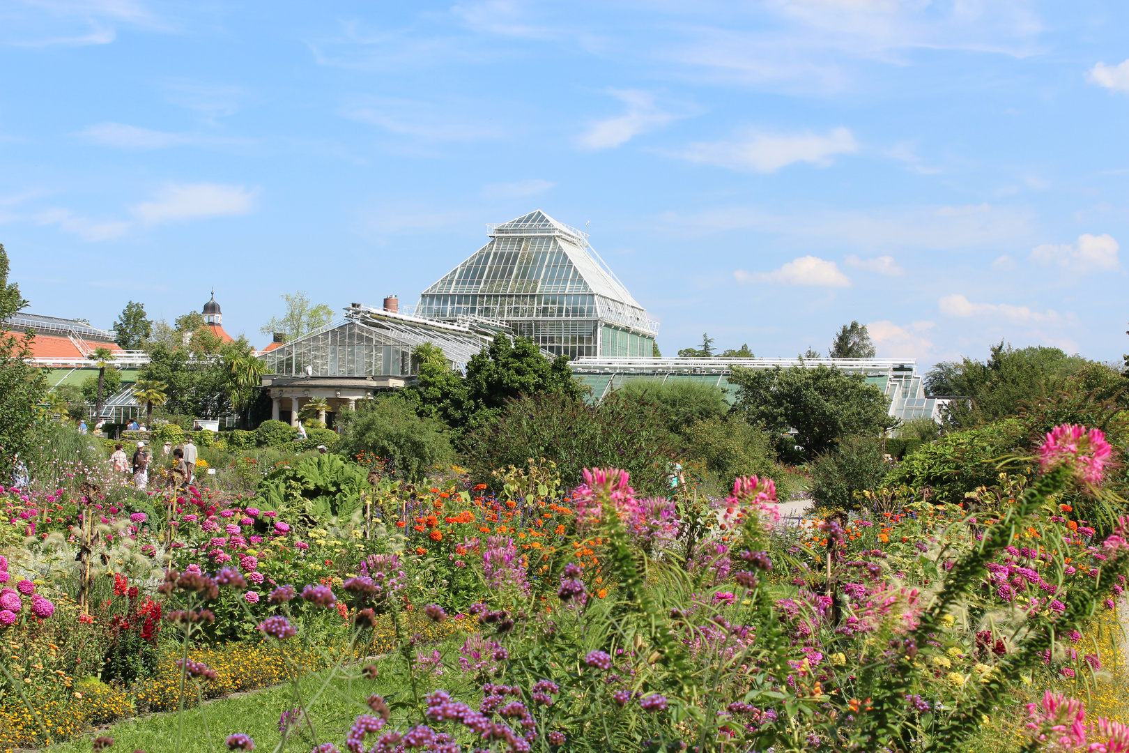 Botanischer Garten München 08.2015-2