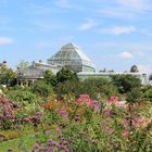 Botanischer Garten München 08.2015-2