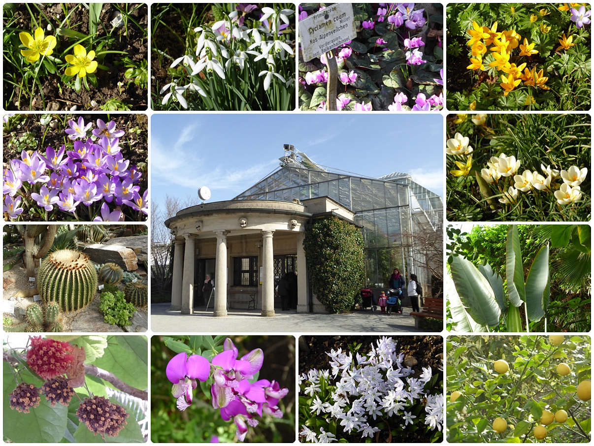 Botanischer Garten München Foto & Bild deutschland