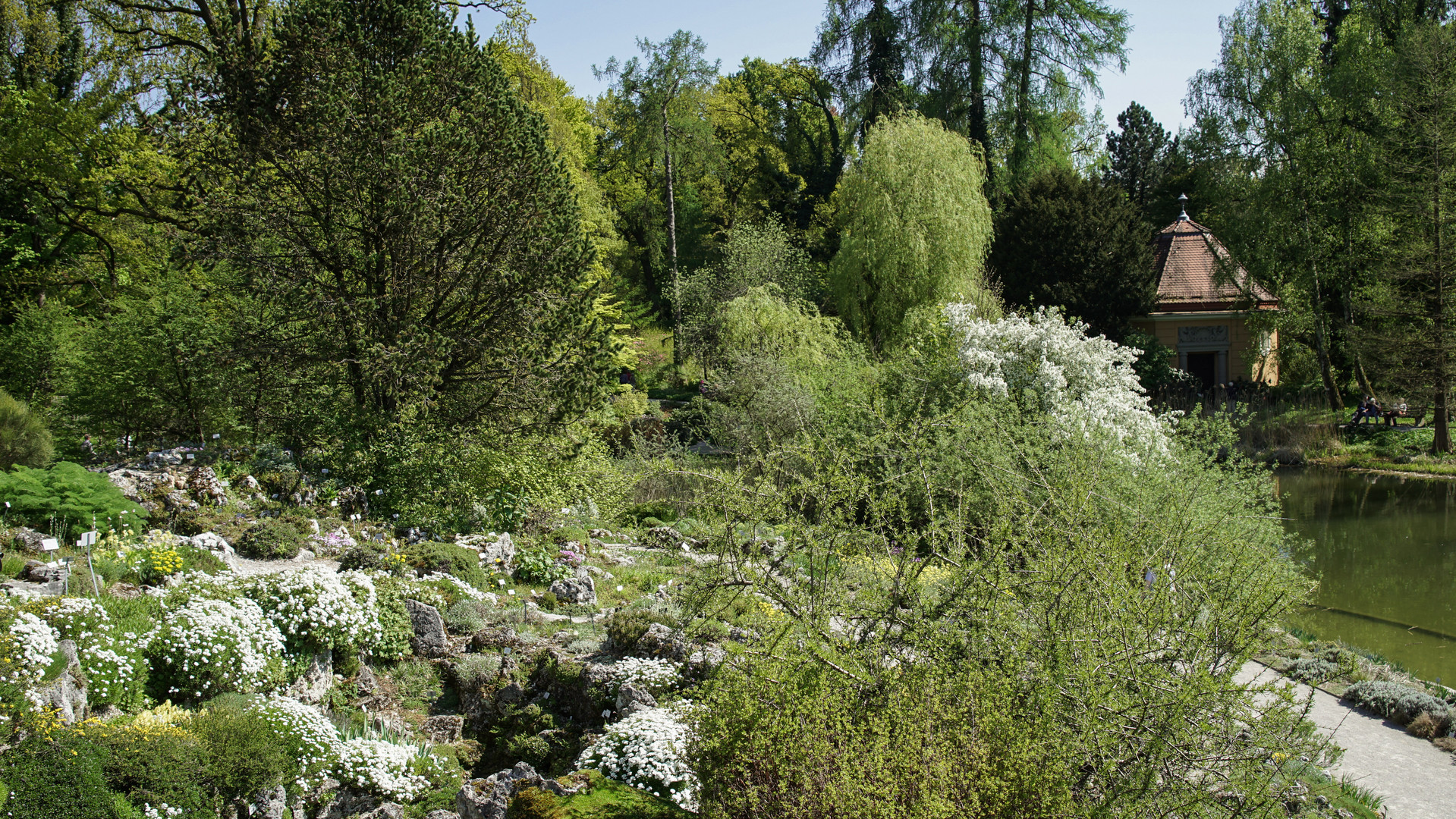 Botanischer Garten Munchen Foto Bild Munchen Baum Fruhling