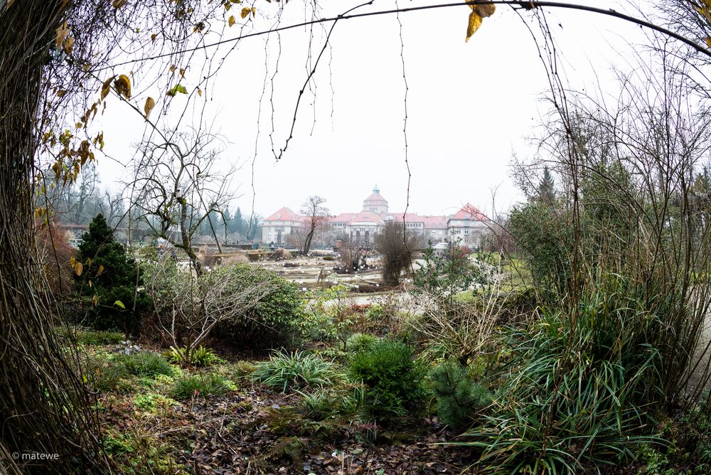 Botanischer Garten München