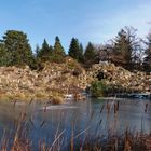 Botanischer Garten München