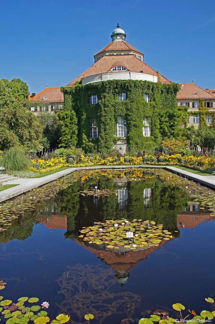 Botanischer Garten München Foto & Bild deutschland
