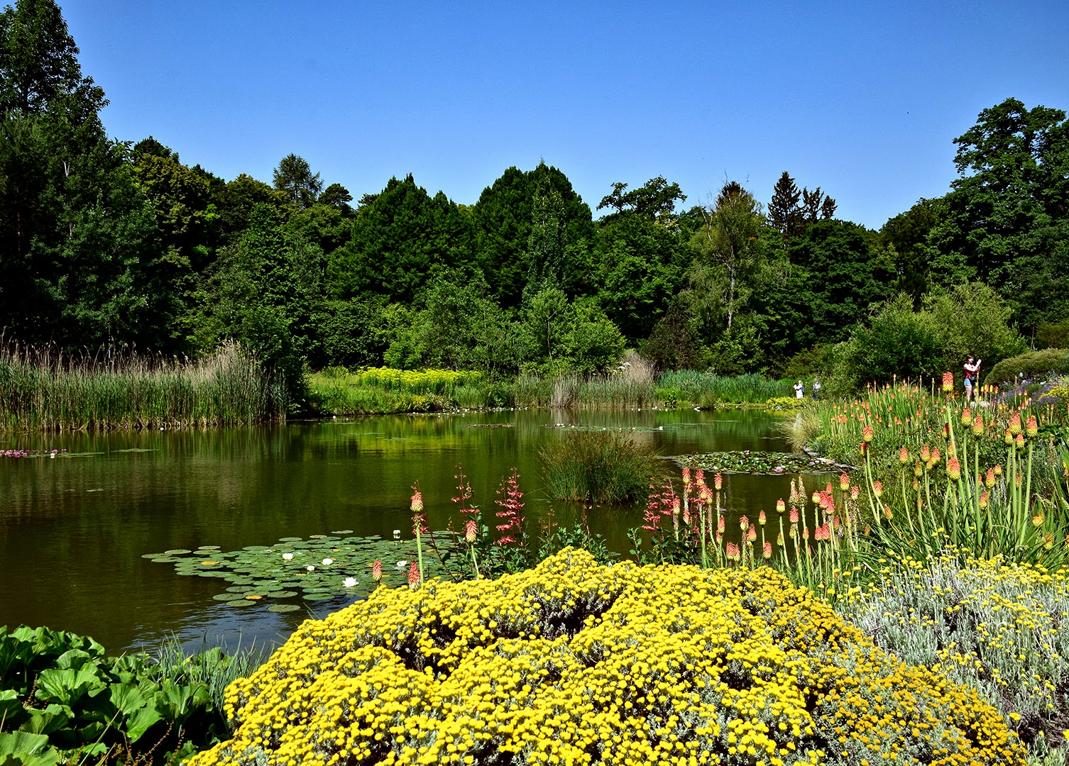 Botanischer Garten München Foto & Bild fotos, nature, world Bilder