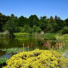 Botanischer Garten München