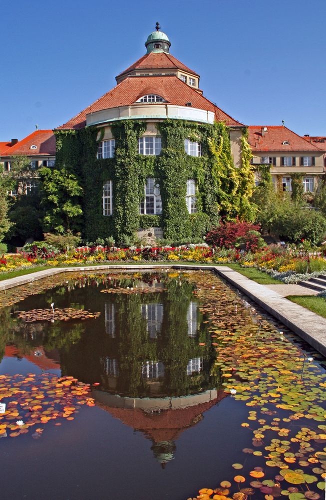 Botanischer Garten München Foto & Bild landschaft