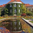 Botanischer Garten München