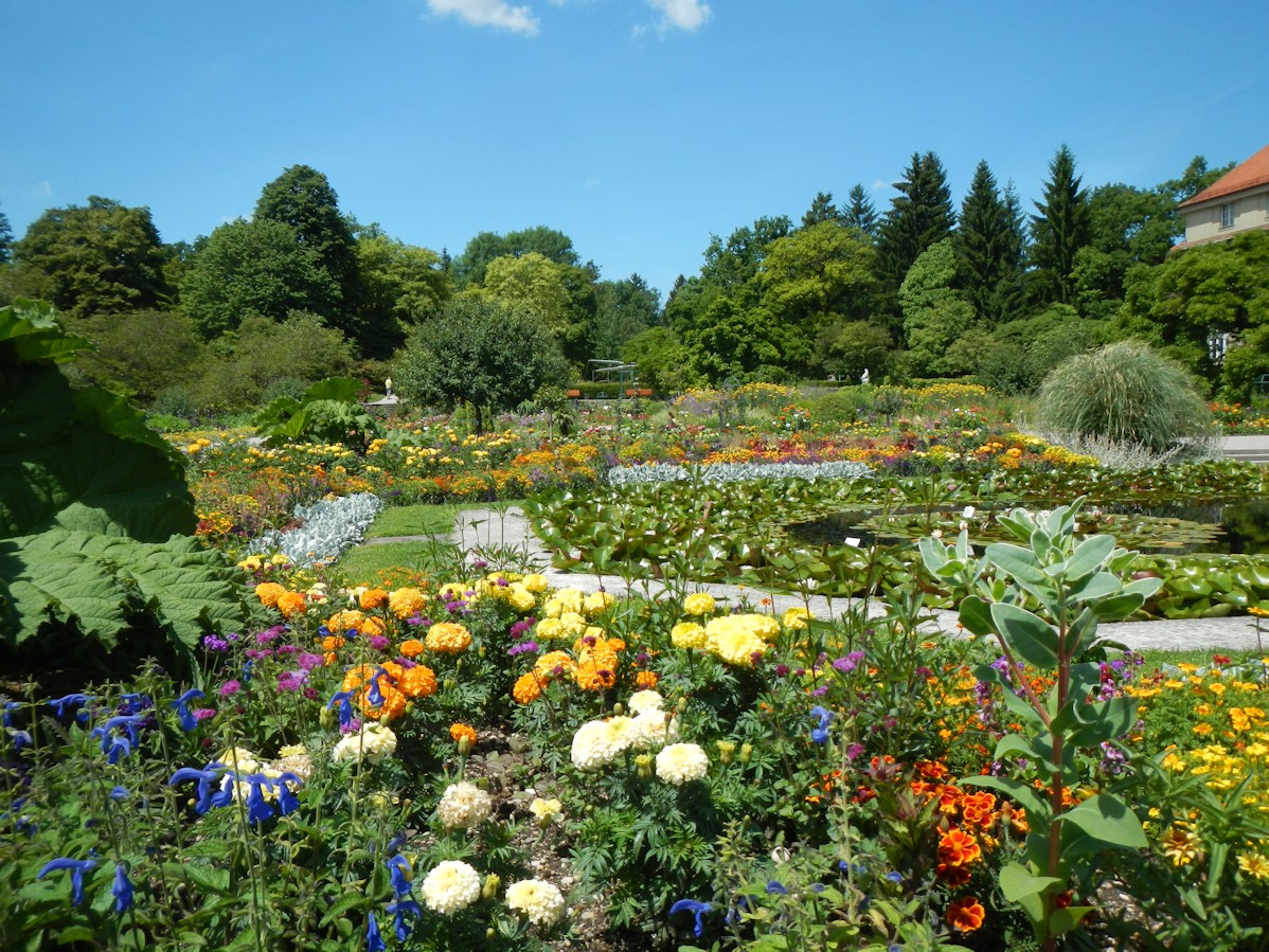 Botanischer Garten München Foto & Bild natur Bilder auf