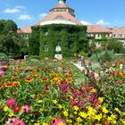 Botanischer Garten München