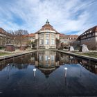 Botanischer Garten München