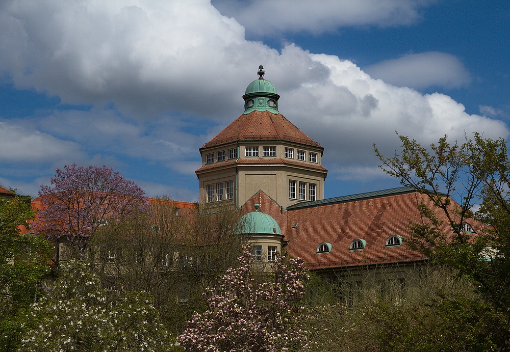 Botanischer Garten München