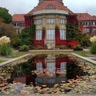 Botanischer Garten München