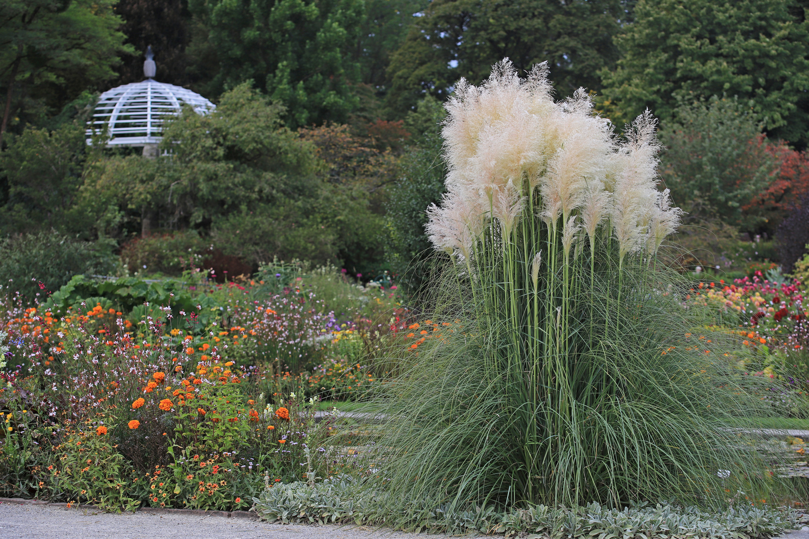 Botanischer Garten München Ende September