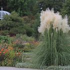 Botanischer Garten München Ende September