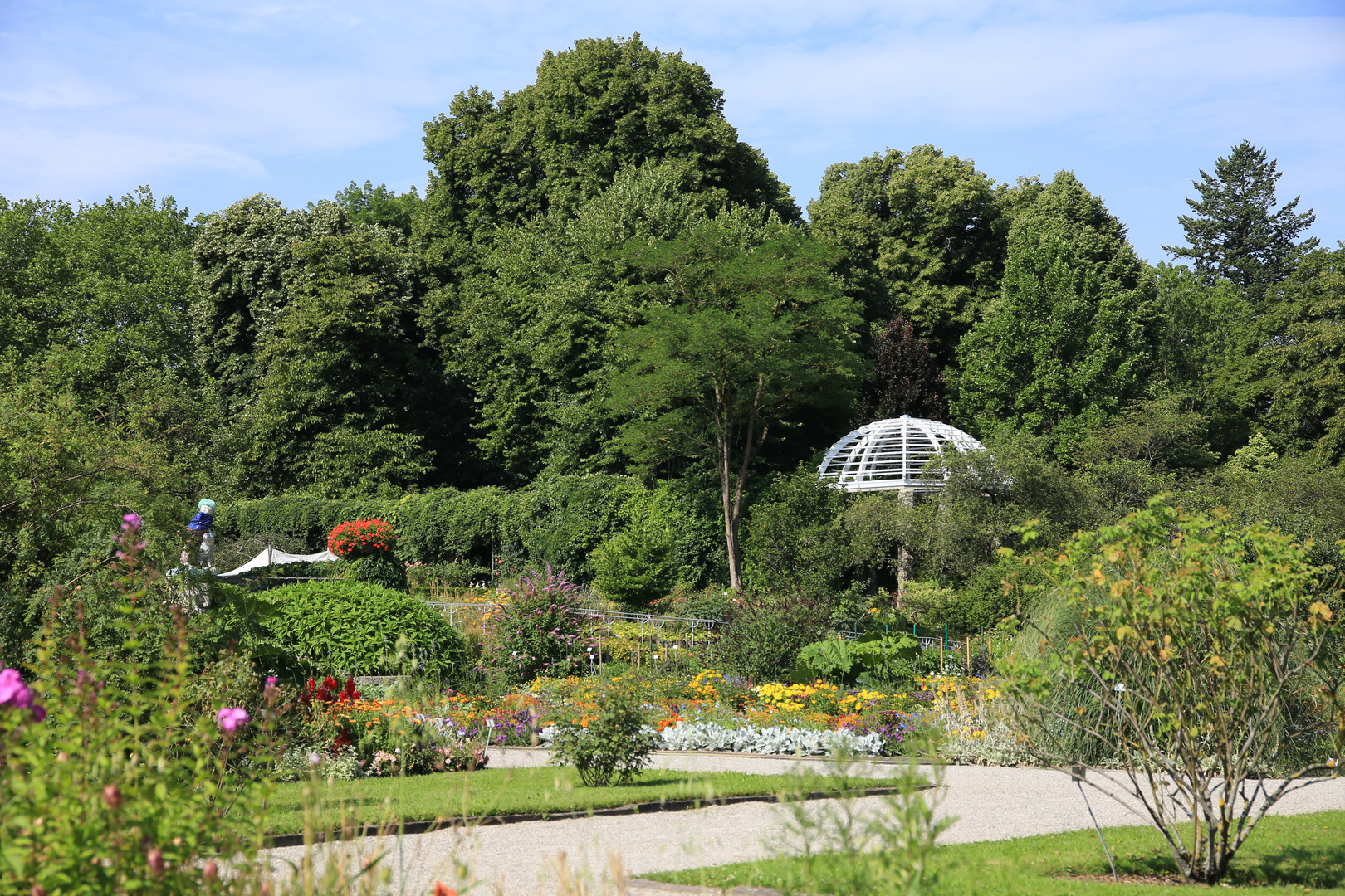 Botanischer Garten München - Juli 2014 (1)