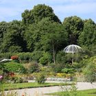 Botanischer Garten München - Juli 2014 (1)