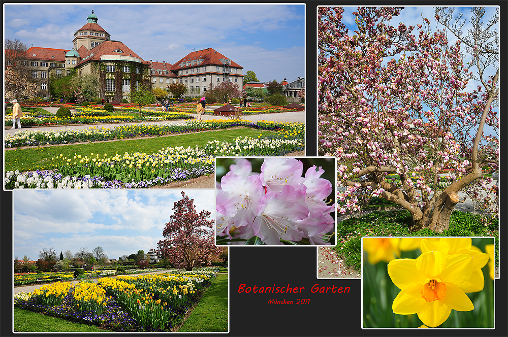 Botanischer Garten - München-Nymphenburg