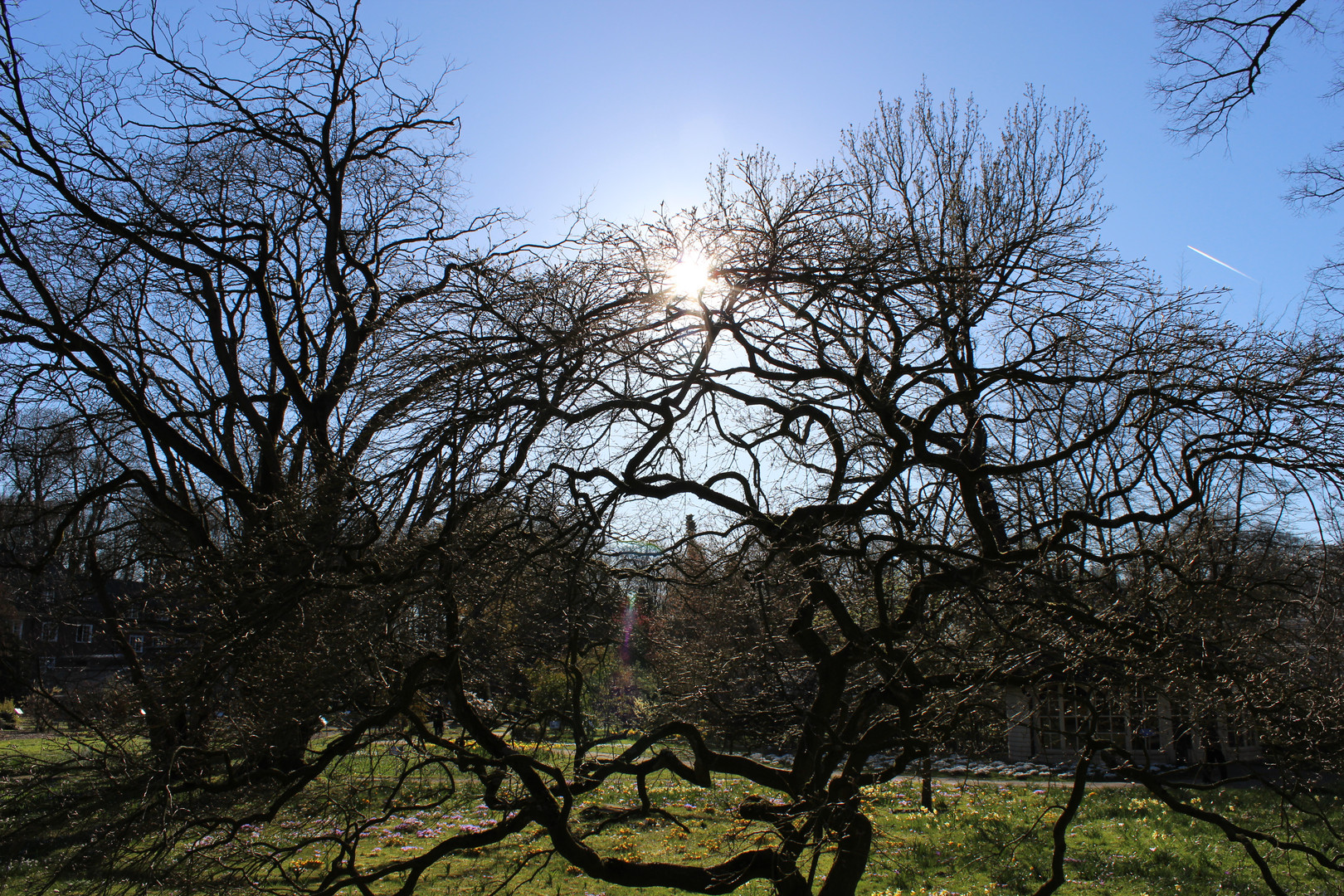 Botanischer Garten Münster