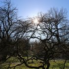 Botanischer Garten Münster