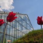 Botanischer Garten Osnabrück vor dem Tropenhaus