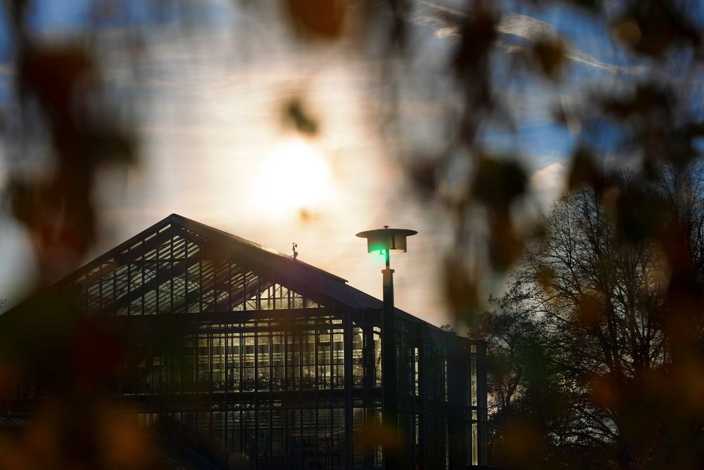 Botanischer Garten Pankow - Gewächshaus