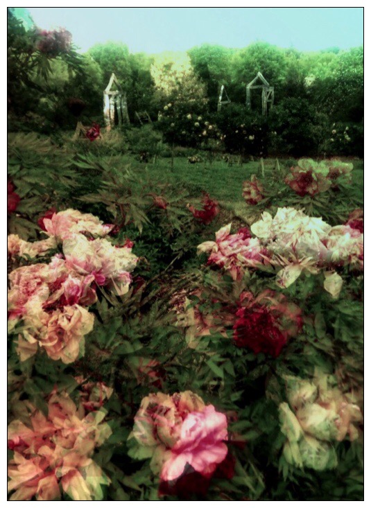 Botanischer Garten Prag Foto Bild Landschaft Jahreszeiten