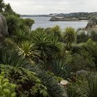 Botanischer Garten Roscoff