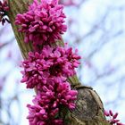 Botanischer Garten Rostock