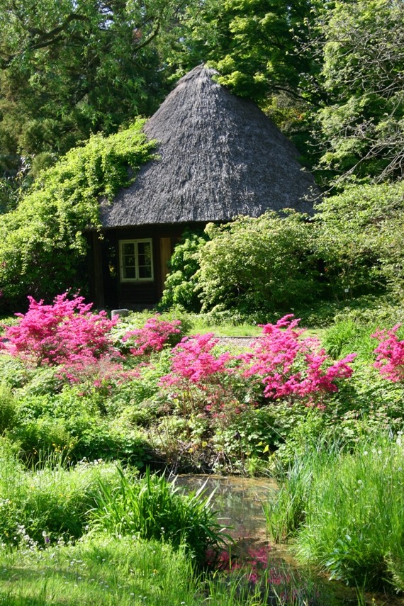 Botanischer Garten, Rostock Foto & Bild landschaft