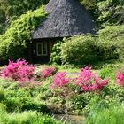 Botanischer Garten, Rostock