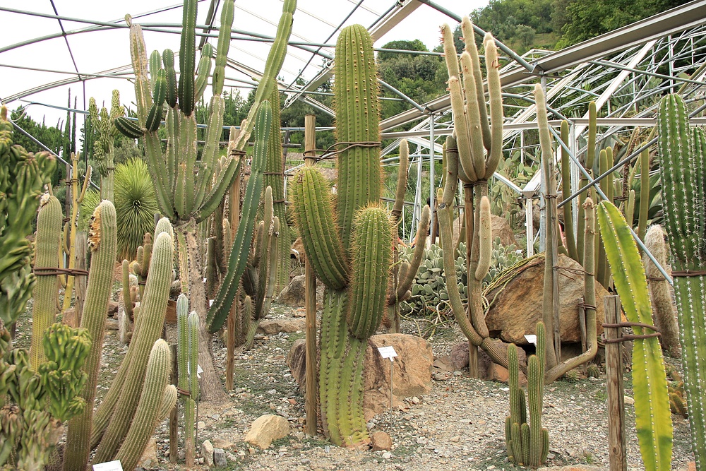 Botanischer Garten Schloss Trauttmansdorff in Meran 3.