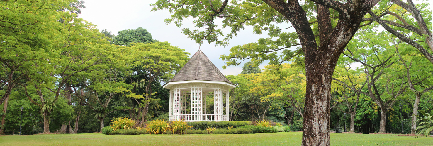 Botanischer Garten Singapore