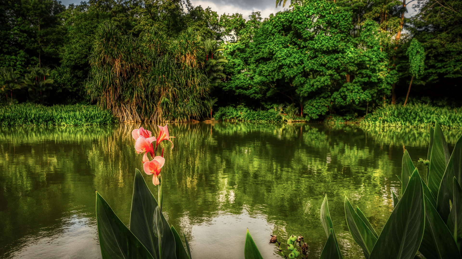 Botanischer Garten Singapur (XI)