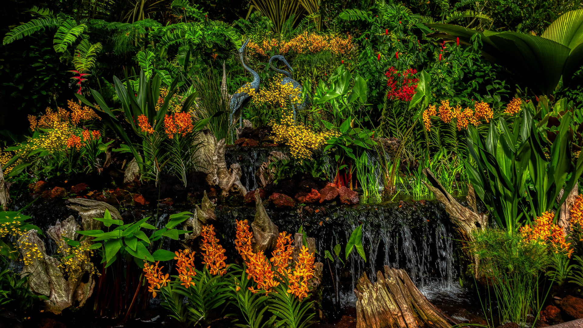 Botanischer Garten Singapur (XXVII) Foto & Bild asia