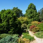 Botanischer Garten Solingen