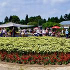 Botanischer Garten Solingen