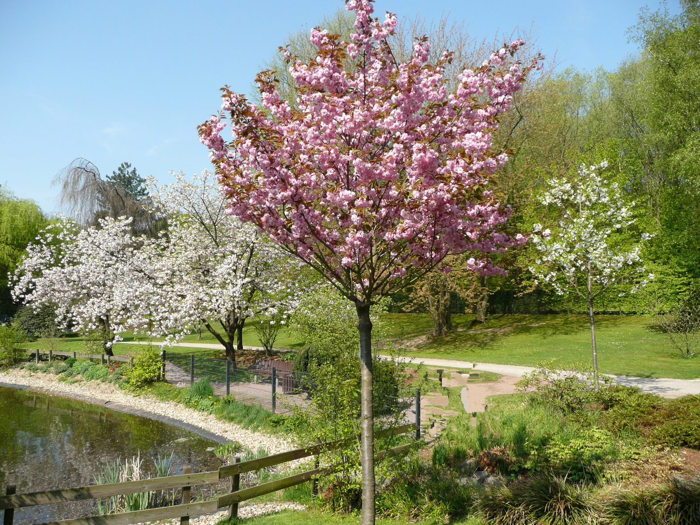 Botanischer Garten Solingen Foto & Bild landschaft