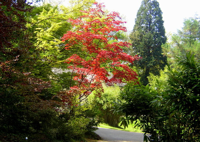 Botanischer Garten Sommer 2006