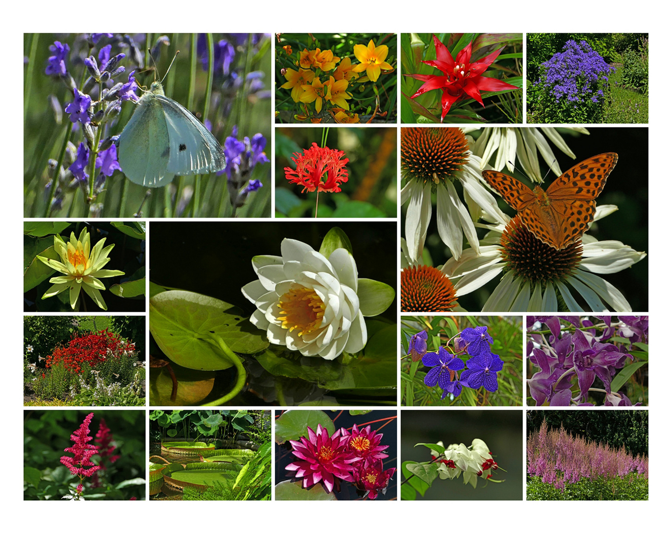 Botanischer Garten St. Gallen / Schweiz