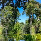 botanischer Garten - Teneriffa 