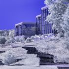 Botanischer Garten Tübingen I [IR]