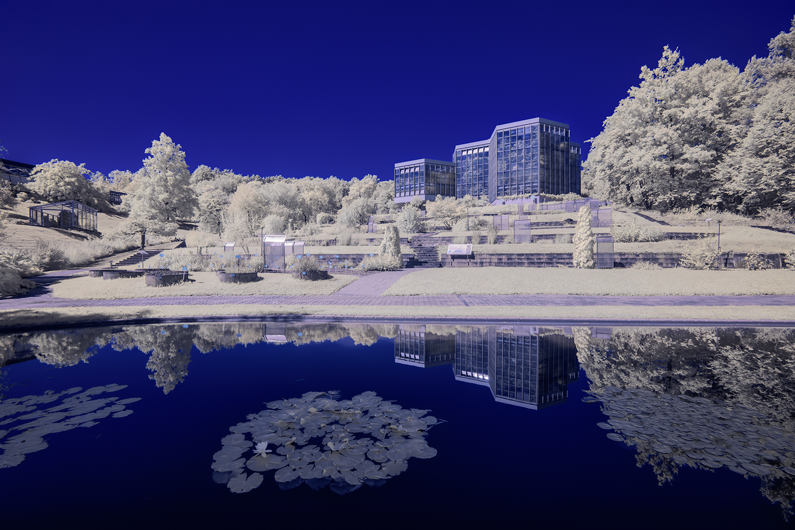 Botanischer Garten Tübingen II [IR]