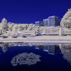 Botanischer Garten Tübingen II [IR]