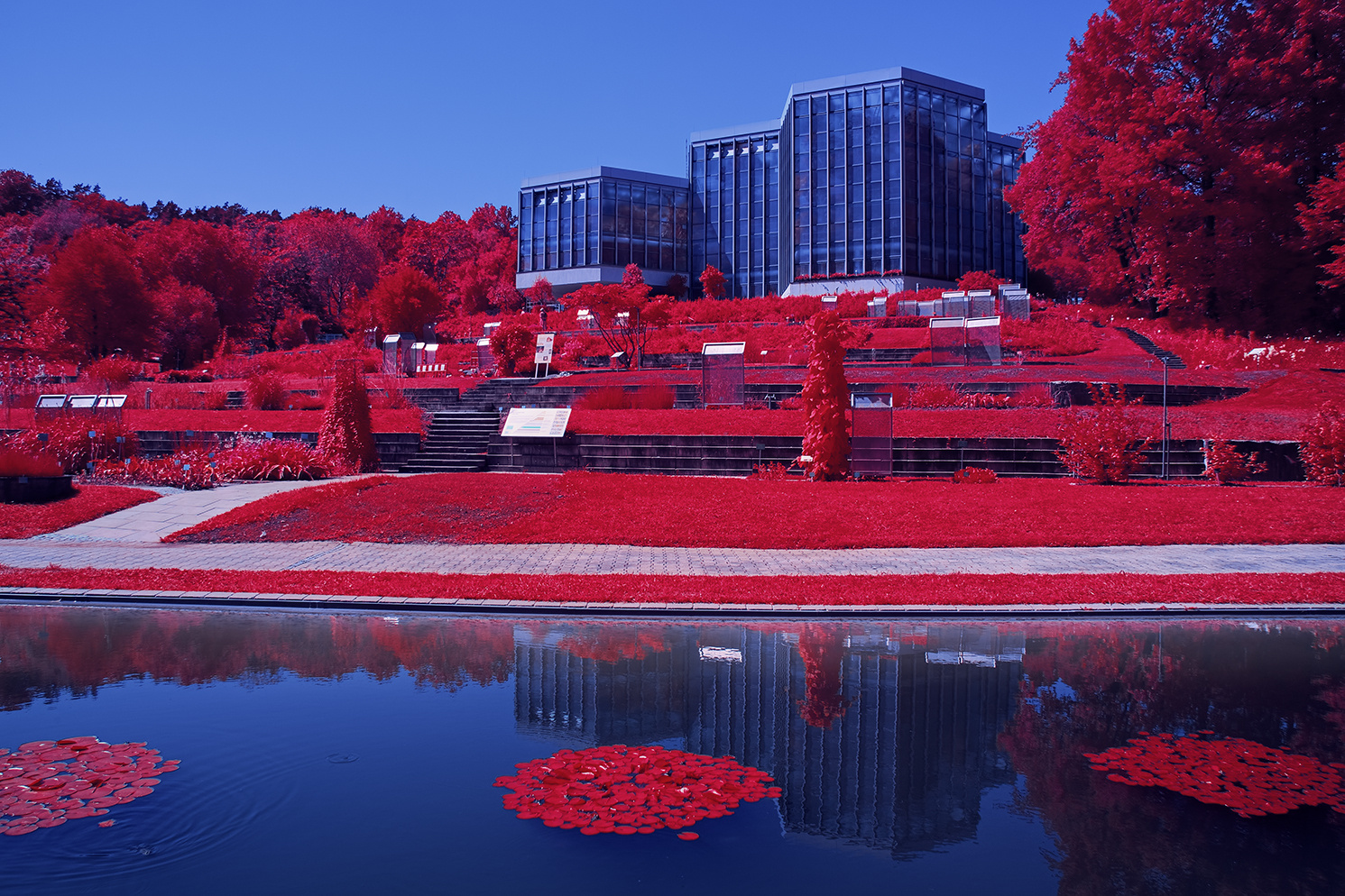 Botanischer Garten Tübingen III [IR]