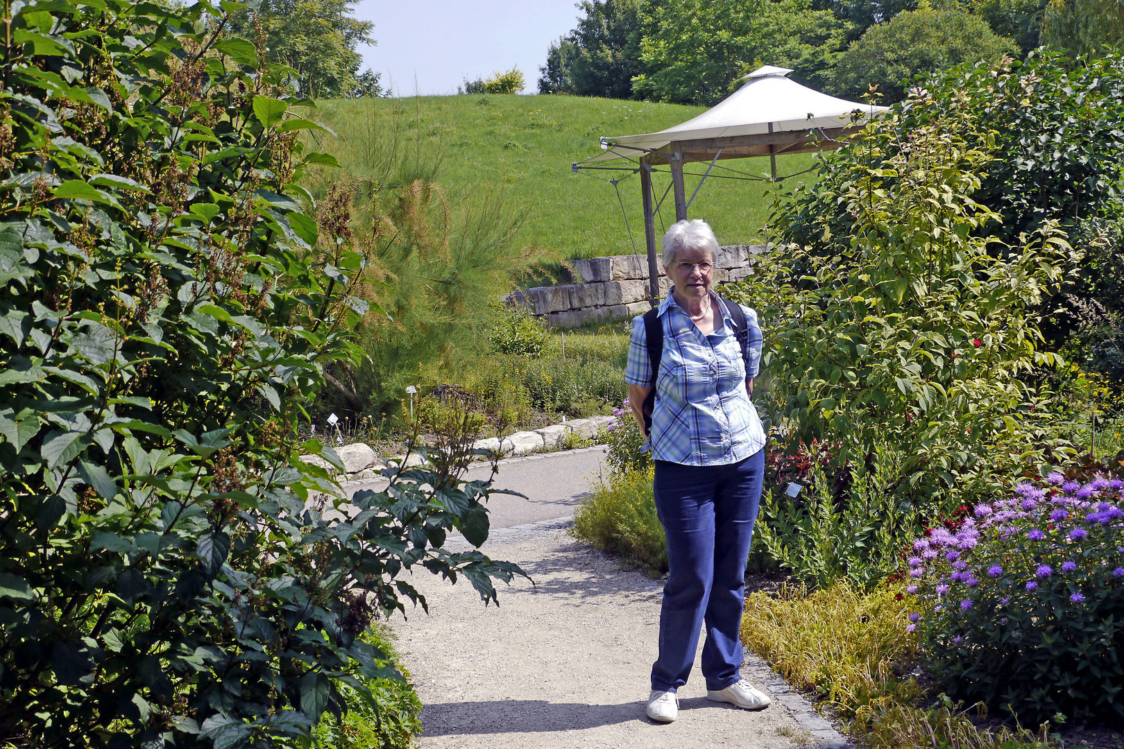 42+ frisch Fotos Ulm Botanischer Garten Ulm Botanischer