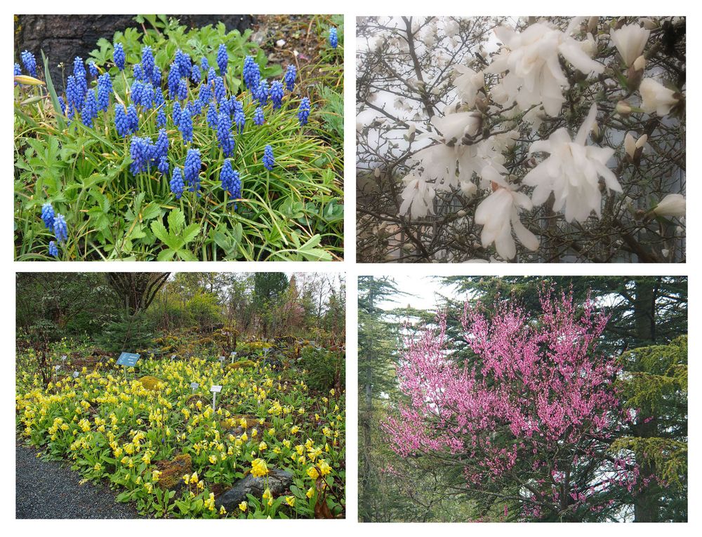 Botanischer Garten Uni Bayreuth