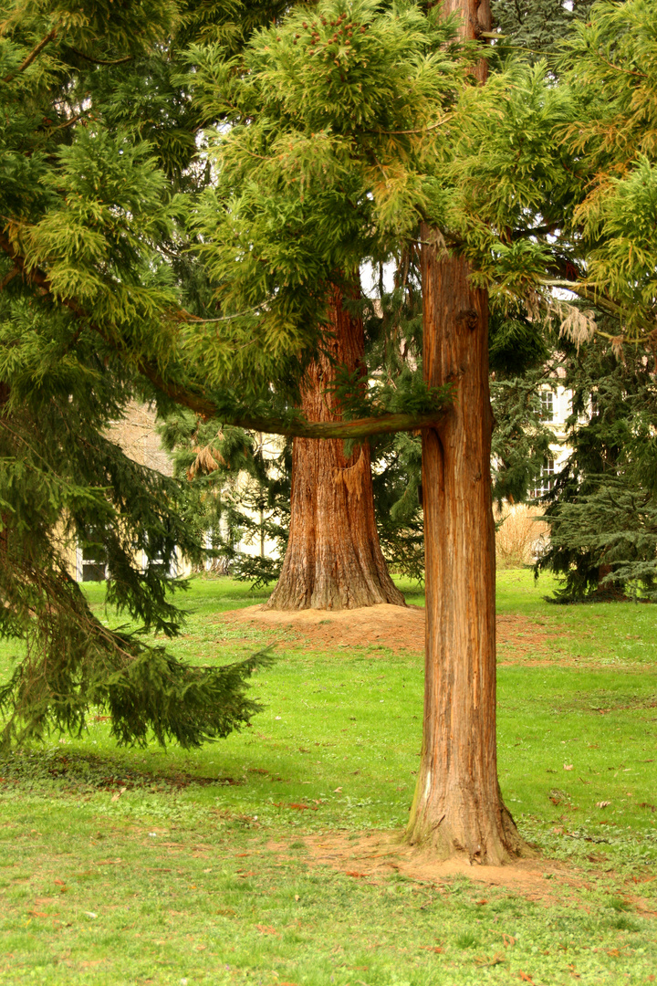 Botanischer Garten Uni Hohenheim Foto Bild Landschaft Garten