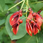 Botanischer Garten Uni Leipzig #4